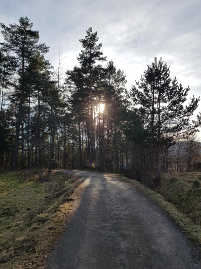 Domek Na Folwarku Villa Tarnawa Dolna  Kültér fotó