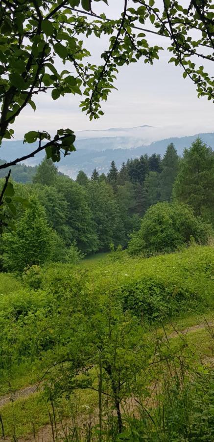 Domek Na Folwarku Villa Tarnawa Dolna  Kültér fotó